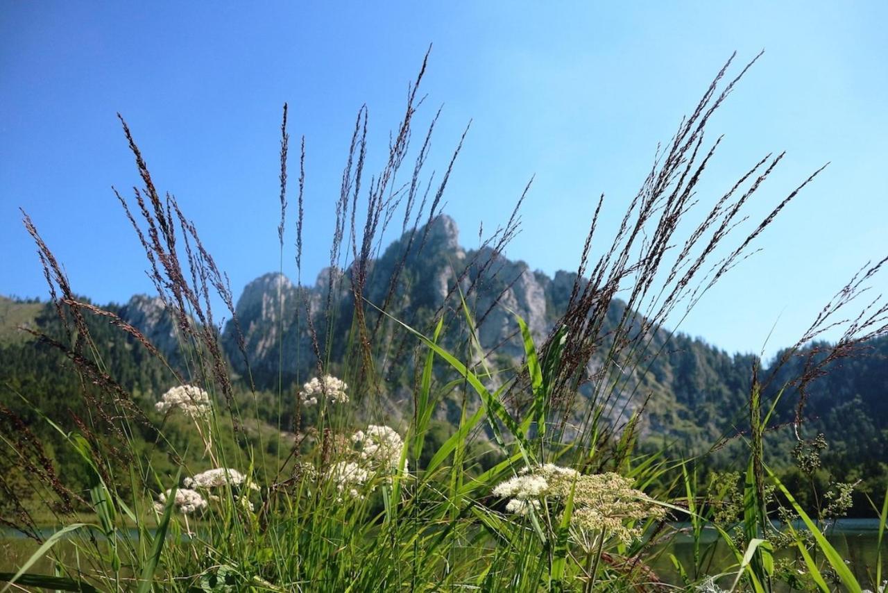 Dachstein 7 Appartement Gosau Buitenkant foto